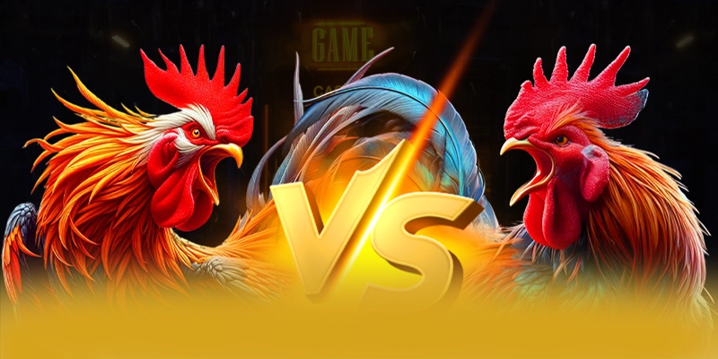 BET88 - Kết luận dành cho người chơi. BET88 - Kết luận dành cho người chơi.