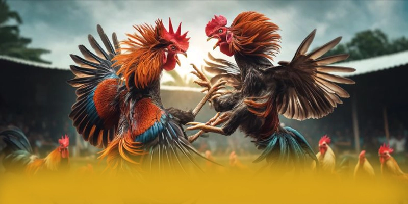Giới thiệu 8xbet - Cổng game chất lượng số 1 Việt Nam Giới thiệu 8xbet - Cổng game chất lượng số 1 Việt Nam